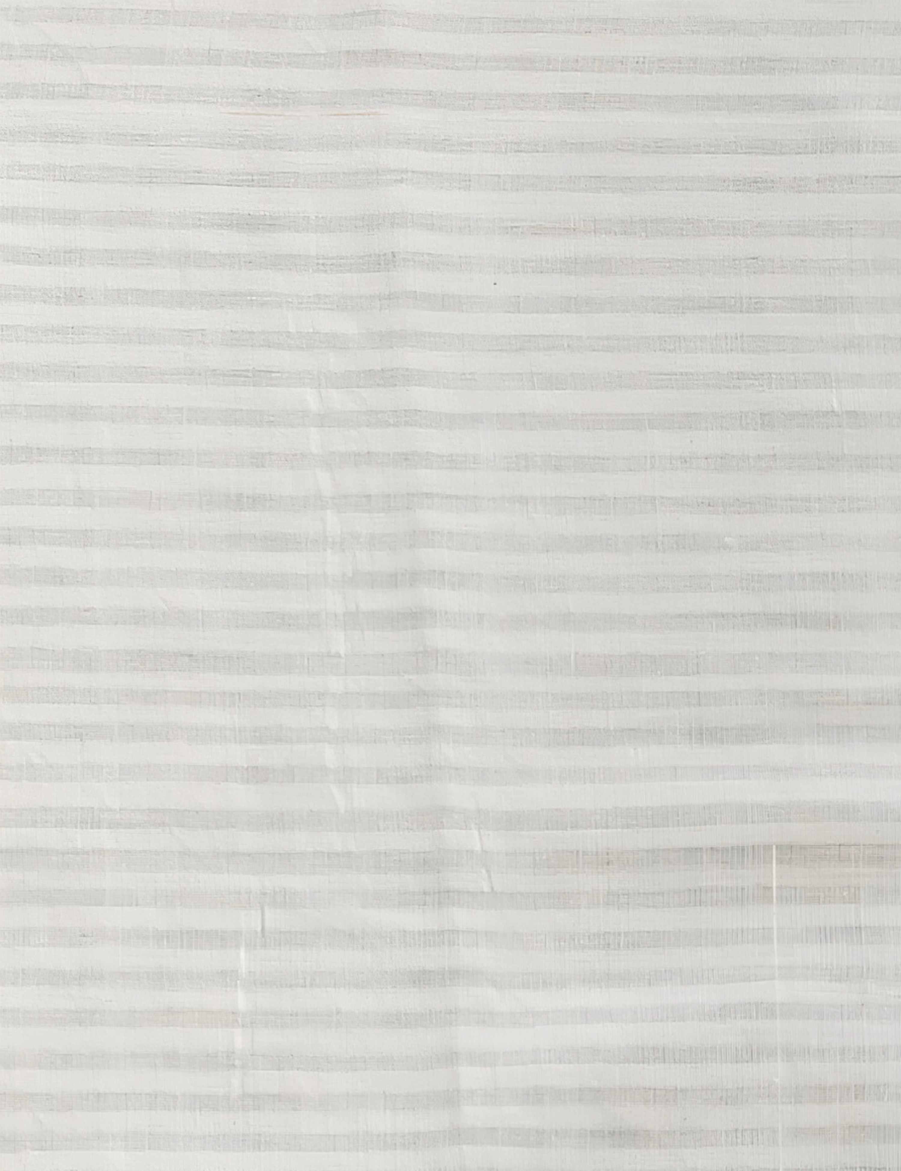 Off-White Venkatagiri Fabric