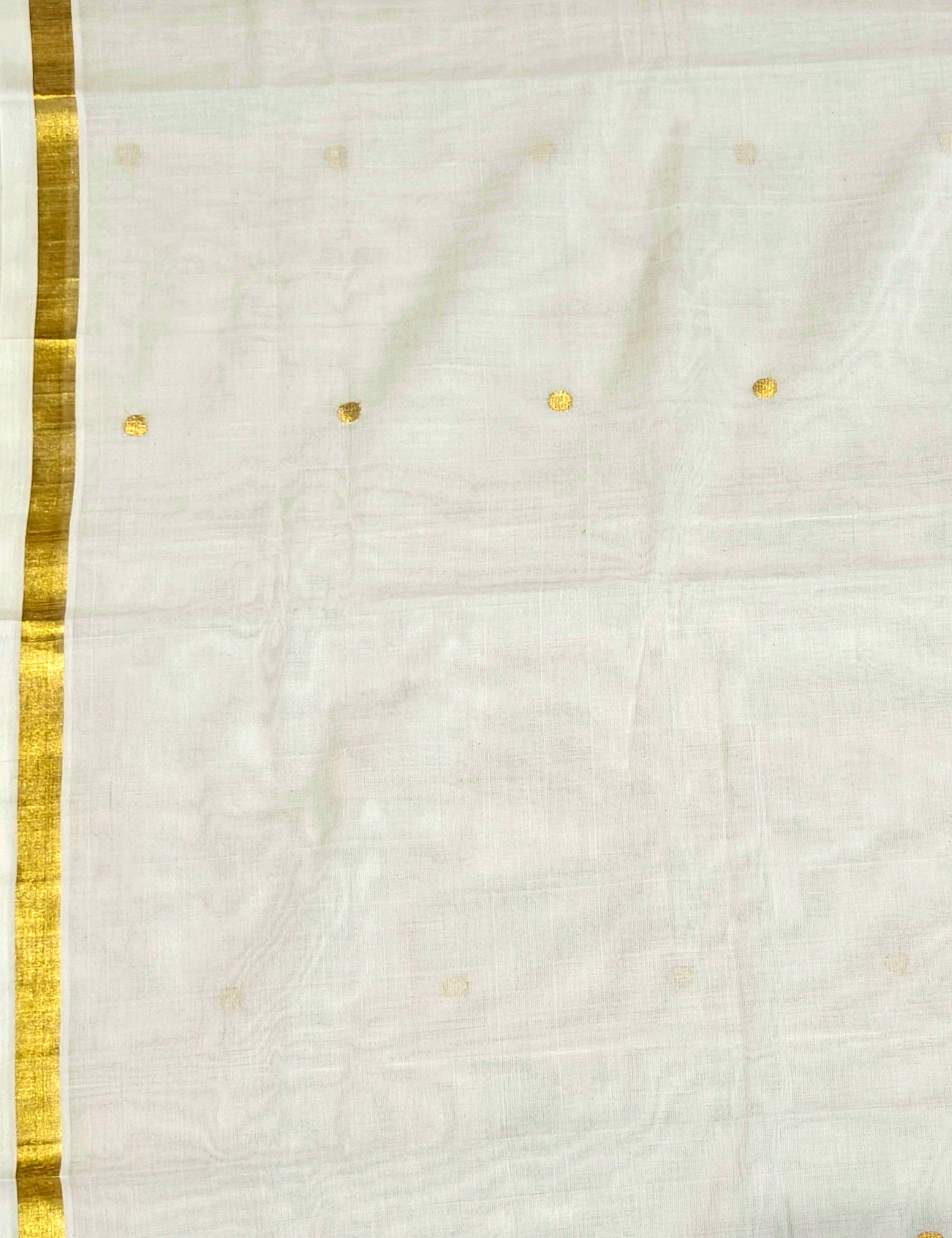 Off White Venkatagiri Saree